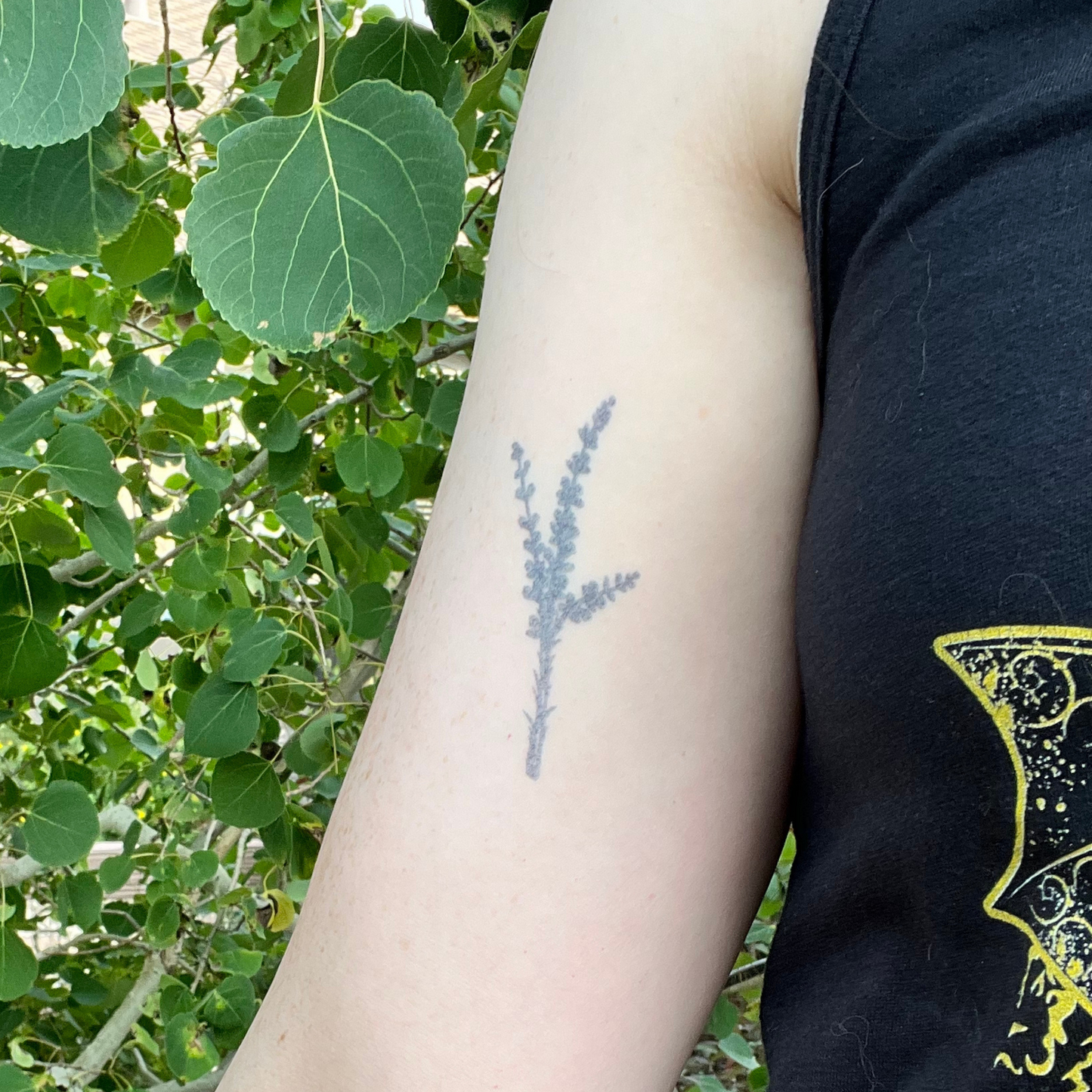 Vervain | Semi-Permanent Tattoo